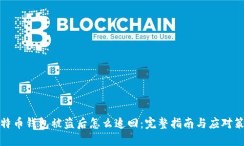 比特币钱包被盗后怎么追回：完整指南与应对策略