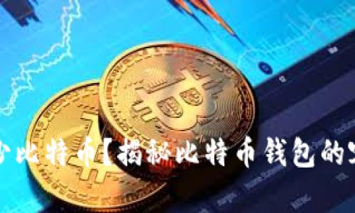 钱包可以放多少比特币？揭秘比特币钱包的容量和使用技巧