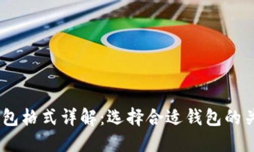 USDT钱包格式详解：选择合适钱包的关键指南