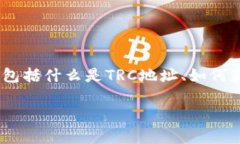 在这篇文章中，我们将探