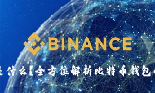 比特币钱包是什么？全方位解析比特币钱包的类型与功能