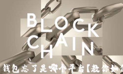 
比特币钱包忘了是哪个平台？教你如何找回！