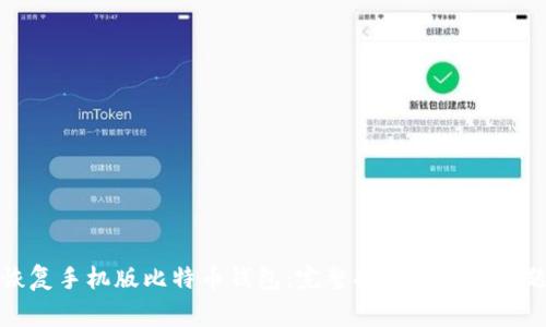 如何恢复手机版比特币钱包：完整指南与常见问题解答