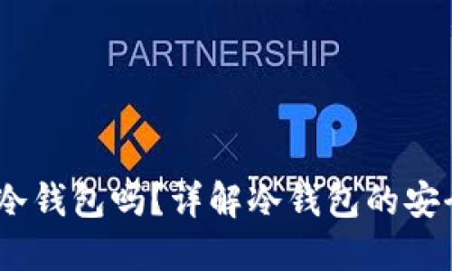 USDT可以放进冷钱包吗？详解冷钱包的安全性与使用指南