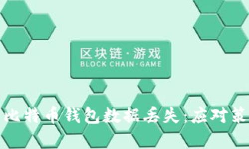 如何有效避免比特币钱包数据丢失：应对策略与解决方案