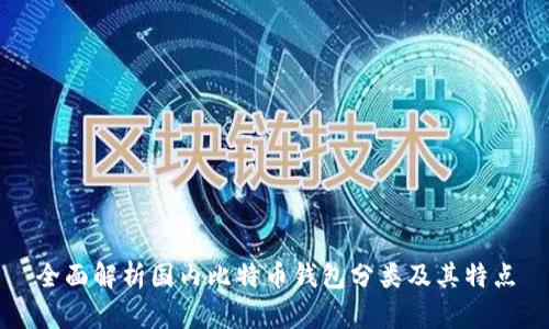 全面解析国内比特币钱包分类及其特点
