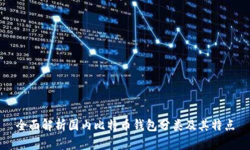 全面解析国内比特币钱包分类及其特点