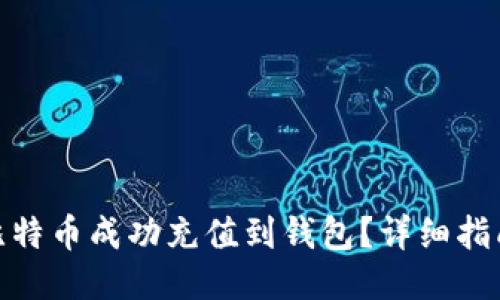 如何将比特币成功充值到钱包？详细指南与步骤