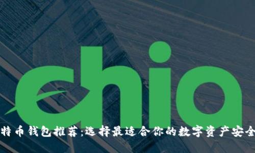 十大比特币钱包推荐：选择最适合你的数字资产安全守护者