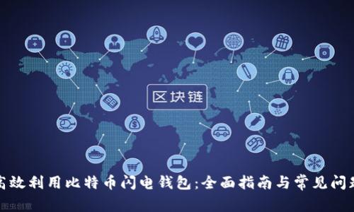 如何高效利用比特币闪电钱包：全面指南与常见问题解答
