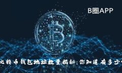 : 比特币钱包地址数量揭秘