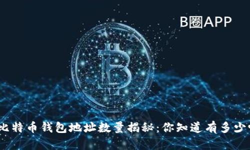 : 比特币钱包地址数量揭秘：你知道有多少吗？