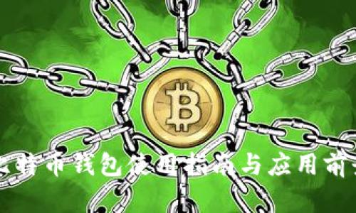 闪电比特币钱包使用指南与应用前景分析
