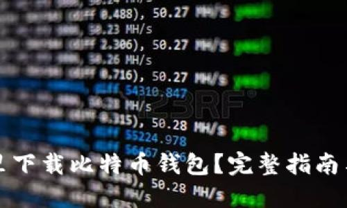 在哪里下载比特币钱包？完整指南与推荐