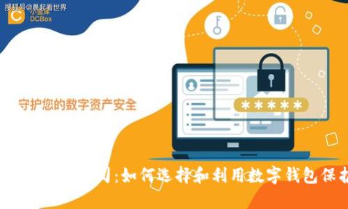 全面解析Web3皮包公司：如何选择和利用数字钱包保护你的资产