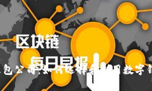 全面解析Web3皮包公司：如何选择和利用数字钱包保护你的资产