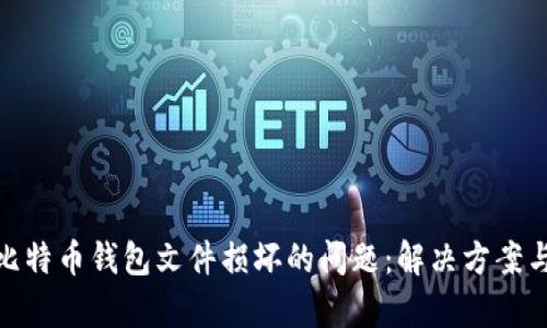 如何修复比特币钱包文件损坏的问题：解决方案与预防措施