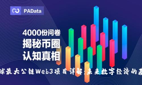全球最大公链Web3项目详解：未来数字经济的基石