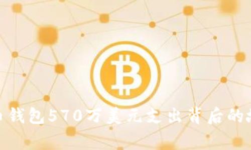 揭秘比特币钱包570万美元支出背后的故事与影响