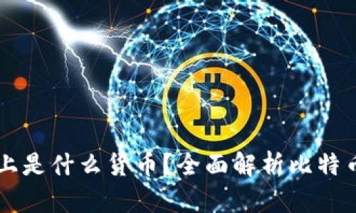 比特币钱包本质上是什么货币？全面解析比特币与其钱包的关系