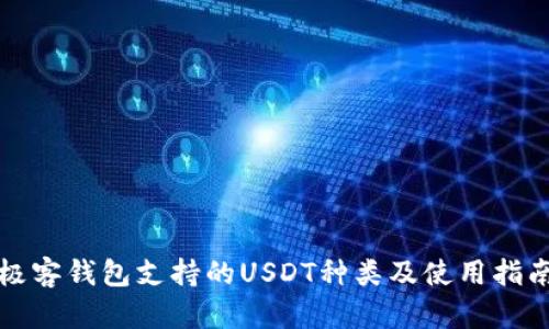 极客钱包支持的USDT种类及使用指南