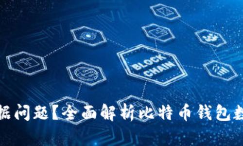 如何解决比特币钱包无数据问题？全面解析比特币钱包数据丢失的原因与解决方案
