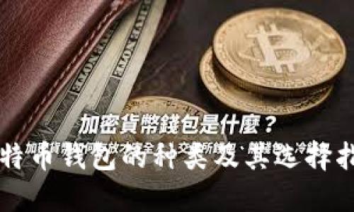 比特币钱包的种类及其选择指南
