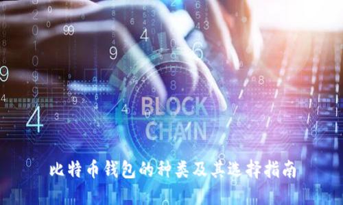 比特币钱包的种类及其选择指南