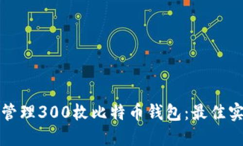 如何安全管理300枚比特币钱包：最佳实践与技巧
