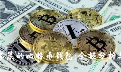 探秘北大李晨的比特币钱包：余额分析与投资启示
