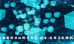 全面解析云比特币钱包：安全、使用与选择指南